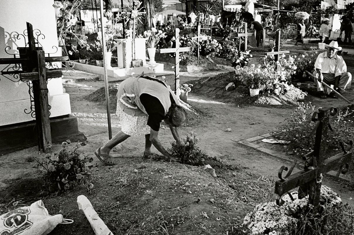 Vida y Muerte, Dia de losMuertos, Mexico
